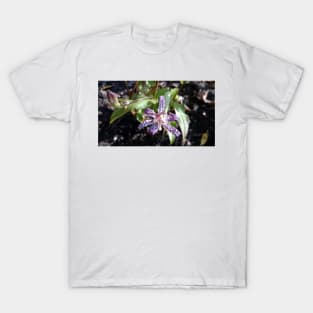 Toad orchid T-Shirt